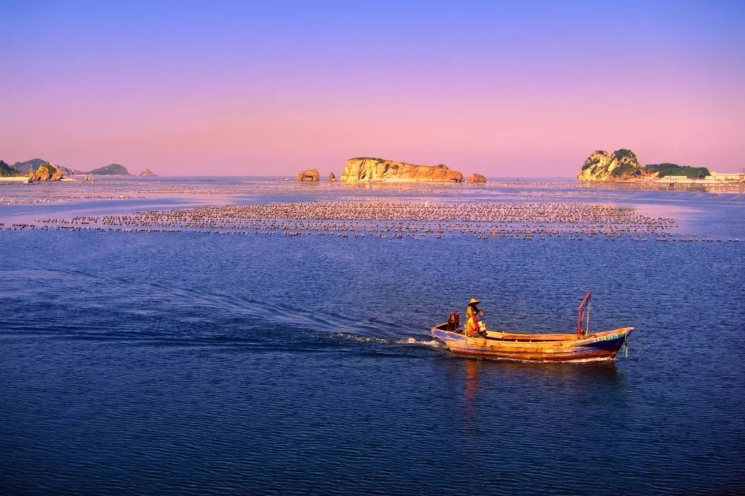 辽宁之光，高科技产品引领未来，助力生活品质升级