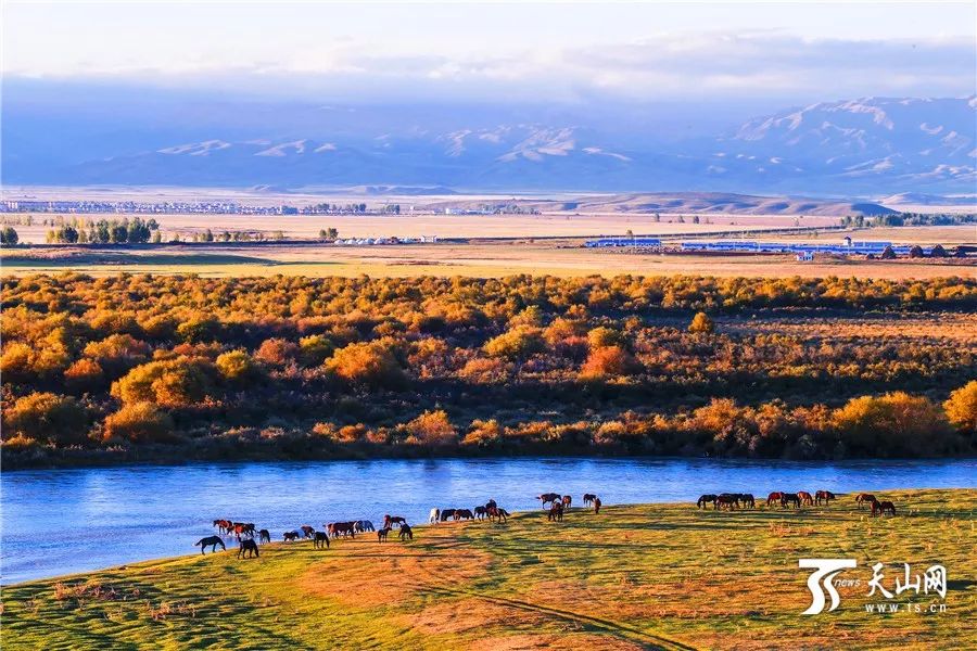 新疆，多元文化交融与民族和谐共生的美丽画卷